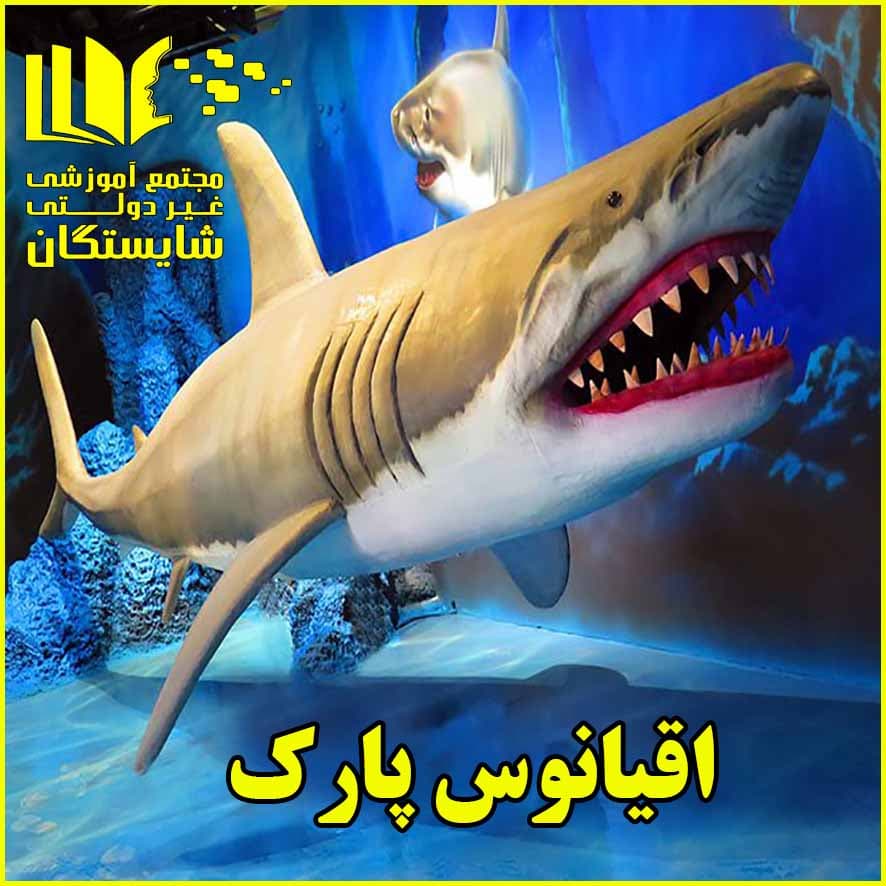 اردوی اقیانوس پارک ویژه دانشآموزان پایه اول و دوم